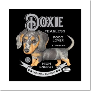 Dappled Dachshund Walking Posters and Art